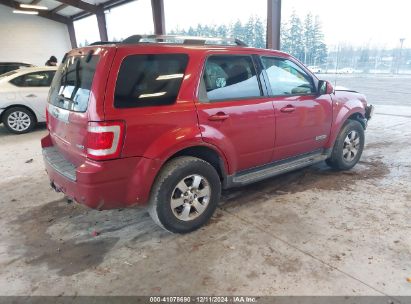 Lot #3035092133 2008 FORD ESCAPE LIMITED