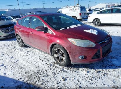 Lot #3034049814 2014 FORD FOCUS SE