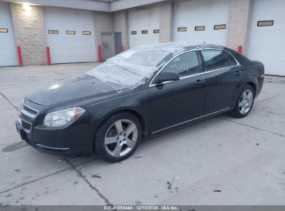 Lot #3035079870 2011 CHEVROLET MALIBU 2LT