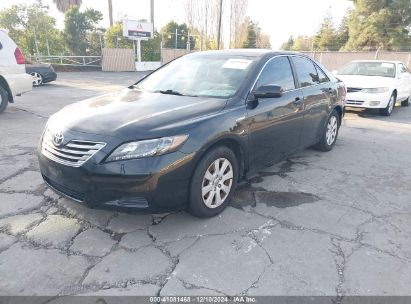 Lot #3037531828 2009 TOYOTA CAMRY HYBRID