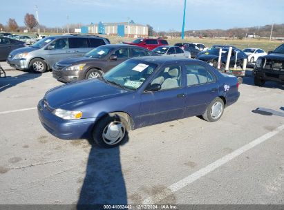 Lot #3052079465 1999 TOYOTA COROLLA CE