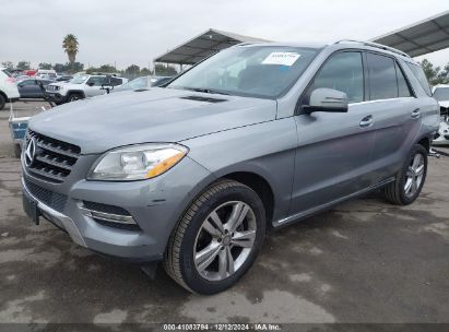 Lot #3050073211 2013 MERCEDES-BENZ ML 350