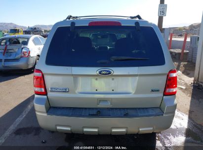 Lot #3035707874 2011 FORD ESCAPE XLT