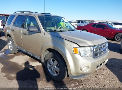 Lot #3035707874 2011 FORD ESCAPE XLT