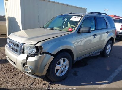 Lot #3035707874 2011 FORD ESCAPE XLT