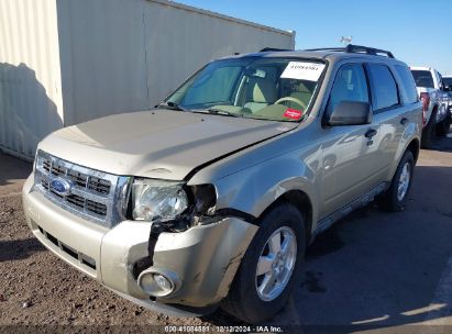 Lot #3035707874 2011 FORD ESCAPE XLT