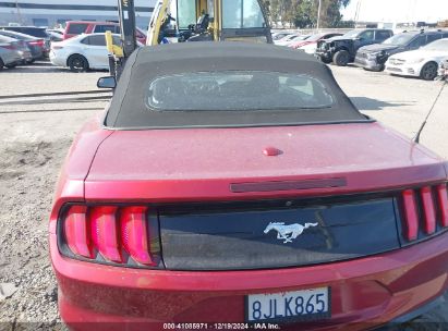 Lot #3035090027 2019 FORD MUSTANG ECOBOOST