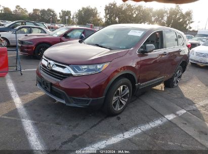 Lot #3035091398 2019 HONDA CR-V LX