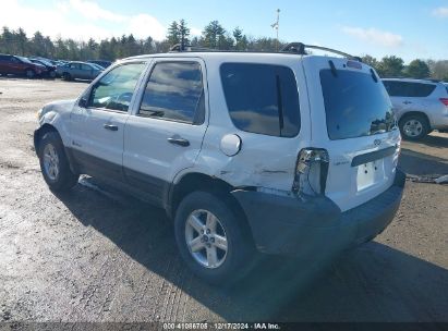 Lot #3051075509 2006 FORD ESCAPE HYBRID