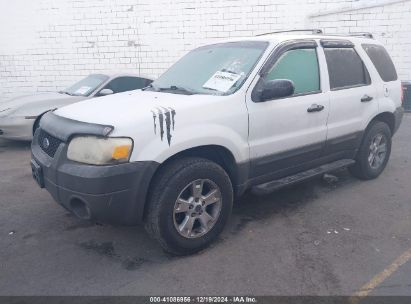 Lot #3035088517 2005 FORD ESCAPE XLT