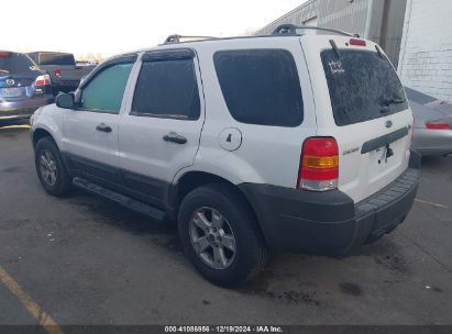 Lot #3035088517 2005 FORD ESCAPE XLT