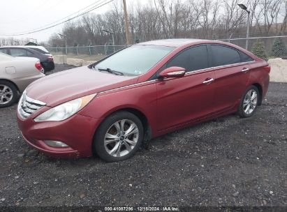 Lot #3034049651 2013 HYUNDAI SONATA LIMITED