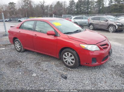 Lot #3052071546 2011 TOYOTA COROLLA LE