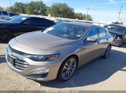 Lot #3035079695 2023 CHEVROLET MALIBU FWD 1LT