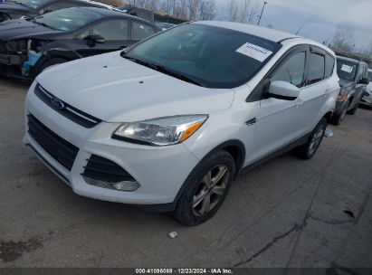 Lot #3051092192 2014 FORD ESCAPE SE