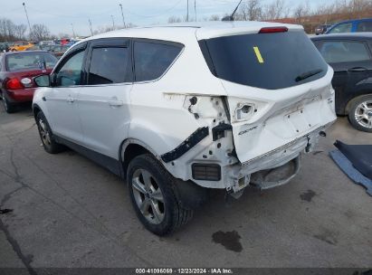 Lot #3051092192 2014 FORD ESCAPE SE