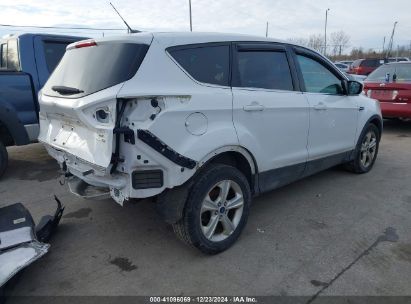 Lot #3051092192 2014 FORD ESCAPE SE