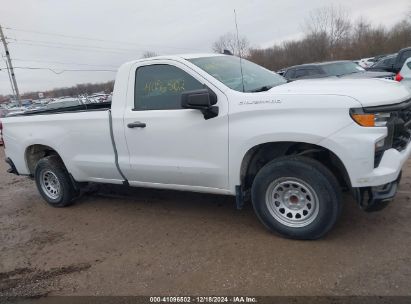 Lot #3046375986 2022 CHEVROLET SILVERADO 1500 2WD  LONG BED WT