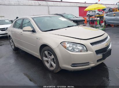 Lot #3035091530 2009 CHEVROLET MALIBU HYBRID