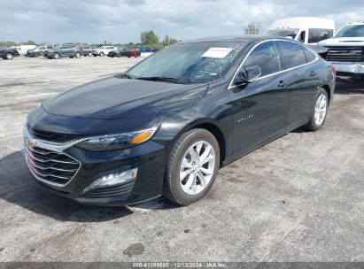 Lot #3034049125 2024 CHEVROLET MALIBU FWD 1LT