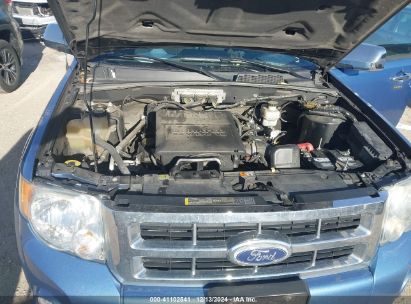 Lot #3052079320 2010 FORD ESCAPE XLT