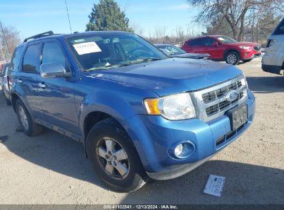 Lot #3052079320 2010 FORD ESCAPE XLT