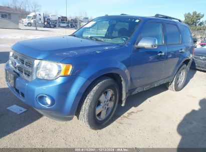 Lot #3052079320 2010 FORD ESCAPE XLT