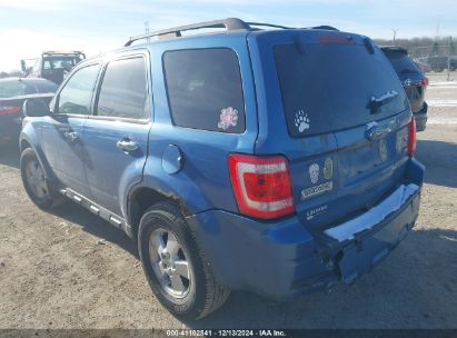 Lot #3052079320 2010 FORD ESCAPE XLT