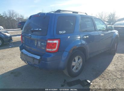 Lot #3052079320 2010 FORD ESCAPE XLT