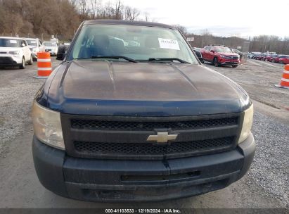 Lot #3042564219 2010 CHEVROLET SILVERADO 1500 WORK TRUCK