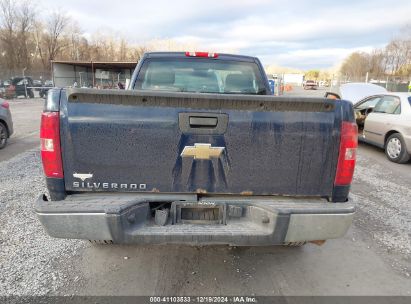 Lot #3042564219 2010 CHEVROLET SILVERADO 1500 WORK TRUCK