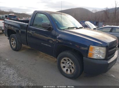 Lot #3042564219 2010 CHEVROLET SILVERADO 1500 WORK TRUCK