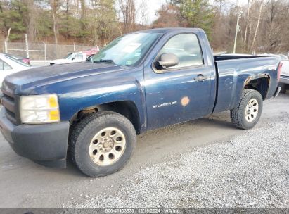 Lot #3042564219 2010 CHEVROLET SILVERADO 1500 WORK TRUCK