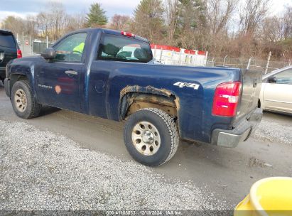 Lot #3042564219 2010 CHEVROLET SILVERADO 1500 WORK TRUCK