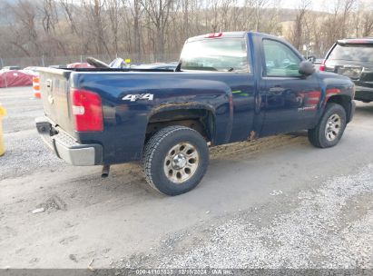 Lot #3042564219 2010 CHEVROLET SILVERADO 1500 WORK TRUCK