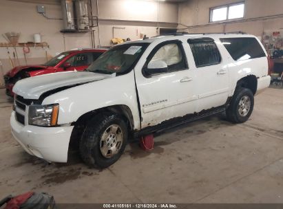 Lot #3050082404 2008 CHEVROLET SUBURBAN 1500 LT