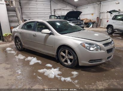 Lot #3034049244 2012 CHEVROLET MALIBU 1LT