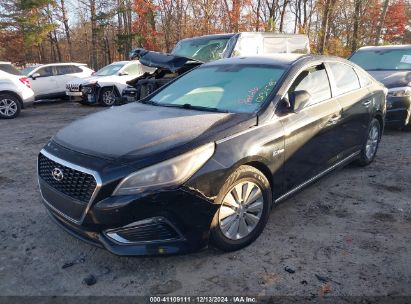 Lot #3034049231 2016 HYUNDAI SONATA HYBRID SE