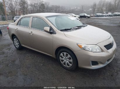 Lot #3034049210 2009 TOYOTA COROLLA LE