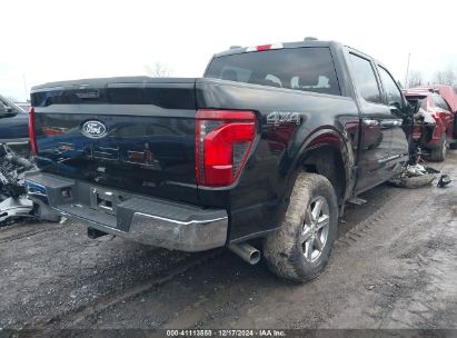 Lot #3034049068 2024 FORD F-150 XLT