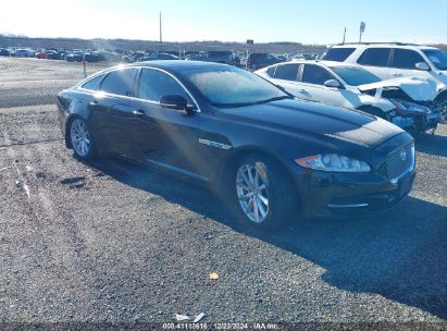 Lot #3037523395 2014 JAGUAR XJ