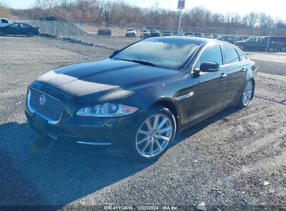 Lot #3037523395 2014 JAGUAR XJ