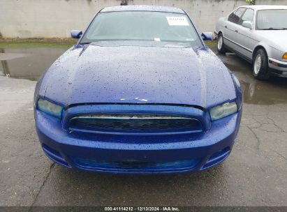 Lot #3035091449 2013 FORD MUSTANG V6