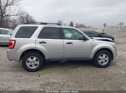 Lot #3051091875 2012 FORD ESCAPE XLT