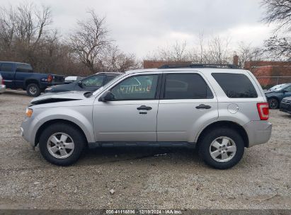 Lot #3051091875 2012 FORD ESCAPE XLT