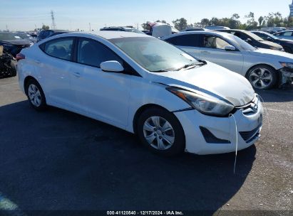 Lot #3036722026 2016 HYUNDAI ELANTRA SE