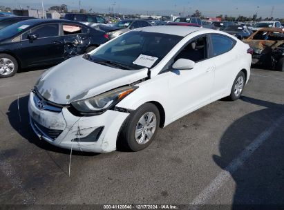 Lot #3036722026 2016 HYUNDAI ELANTRA SE