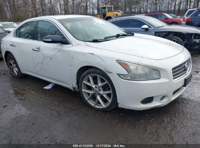 Lot #3034048819 2010 NISSAN MAXIMA 3.5 SV