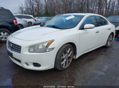 Lot #3034048819 2010 NISSAN MAXIMA 3.5 SV