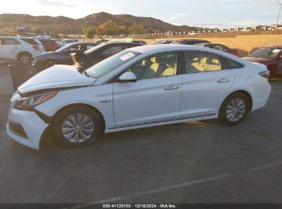 Lot #3035091747 2016 HYUNDAI SONATA HYBRID SE